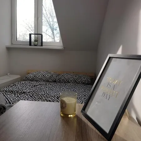 Quiet And Comfy In *